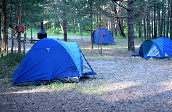 Quels sont les avantages de camper en forêt tropicale et comment s'y préparer?